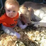 Country Pumpkins Pumpkin Patch & Fall Festival photo