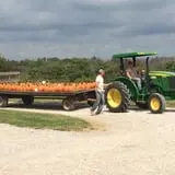 Country Pumpkins Pumpkin Patch & Fall Festival photo