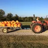 Country Pumpkins Pumpkin Patch & Fall Festival photo