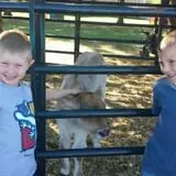 Country Pumpkins Pumpkin Patch & Fall Festival photo