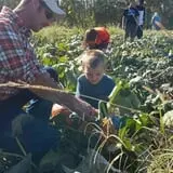 Country Pumpkins Pumpkin Patch & Fall Festival photo