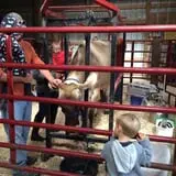 Country Pumpkins Pumpkin Patch & Fall Festival photo