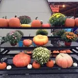 Country Pumpkins Pumpkin Patch & Fall Festival photo