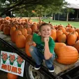 Country Pumpkins Pumpkin Patch & Fall Festival photo