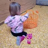 Country Pumpkins Pumpkin Patch & Fall Festival photo