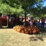 Country Pumpkins Pumpkin Patch & Fall Festival photo