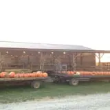 Country Pumpkins Pumpkin Patch & Fall Festival photo