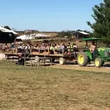 Country Pumpkins Pumpkin Patch & Fall Festival photo