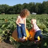 Roga Pumpkin Patch photo