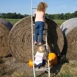 Roga Pumpkin Patch photo
