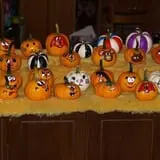 Roga Pumpkin Patch photo