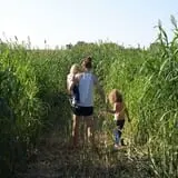 Roga Pumpkin Patch photo