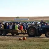Roga Pumpkin Patch photo