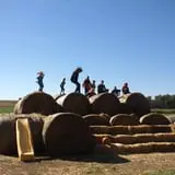 Roga Pumpkin Patch photo
