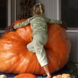 Roga Pumpkin Patch photo