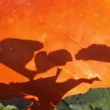 Roga Pumpkin Patch photo
