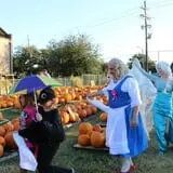First Presbyterian Pumpkin Patch photo