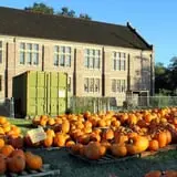 First Presbyterian Pumpkin Patch photo