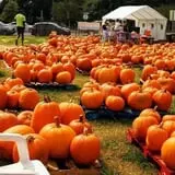 First Presbyterian Pumpkin Patch photo