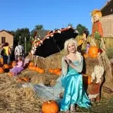 First Presbyterian Pumpkin Patch photo