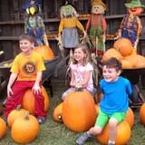 First Presbyterian Pumpkin Patch photo