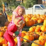 First Presbyterian Pumpkin Patch photo