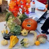 First Presbyterian Pumpkin Patch photo