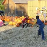 First Presbyterian Pumpkin Patch photo