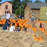 First Presbyterian Pumpkin Patch photo