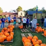 First Presbyterian Pumpkin Patch photo