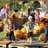 First Presbyterian Pumpkin Patch photo
