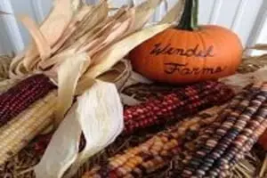 Wendel Farms