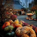 Gordon Skagit Farms photo