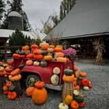 Gordon Skagit Farms photo