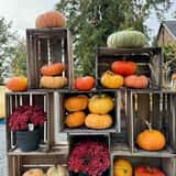 Gordon Skagit Farms photo