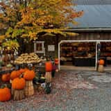 Gordon Skagit Farms photo