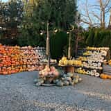 Gordon Skagit Farms photo