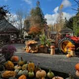Gordon Skagit Farms photo