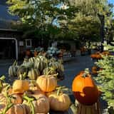 Gordon Skagit Farms photo