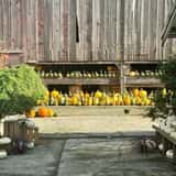 Gordon Skagit Farms photo