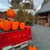 Gordon Skagit Farms photo