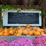 Gordon Skagit Farms photo