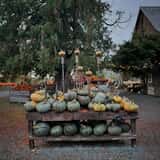 Gordon Skagit Farms photo