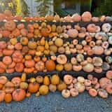 Gordon Skagit Farms photo