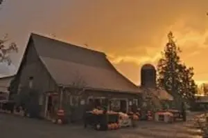 Gordon Skagit Farms