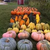 Harris Hill Farm Pumpkin Patch & Hayride photo