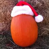 Harris Hill Farm Pumpkin Patch & Hayride photo