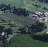 Harris Hill Farm Pumpkin Patch & Hayride photo