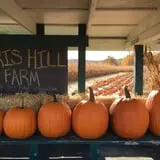 Harris Hill Farm Pumpkin Patch & Hayride photo