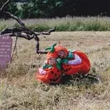 Harris Hill Farm Pumpkin Patch & Hayride photo